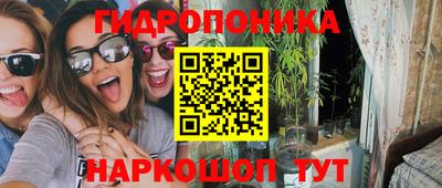 гашик Краснодар