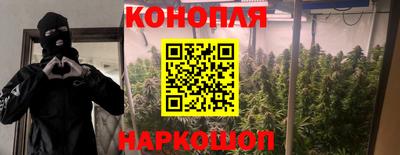 шишки Краснокаменск